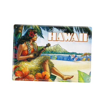 Hawaii Travelling Souvenir Metal Post Card with Paper Written Board