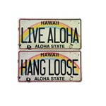 Hawaii Two Designs Rainbow Elements Car License Plate