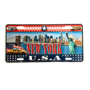 NY With American Scene Number Car License Plate
