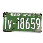 Sunshine State Number Car License Plate