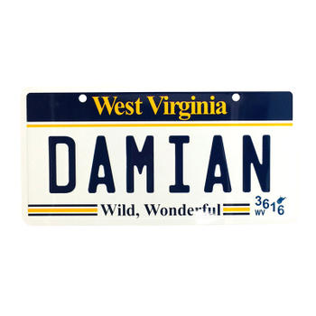 DAMIAN West Virginia Car License Plate